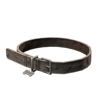 Dog Collar