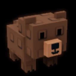 Grizzly Bear
