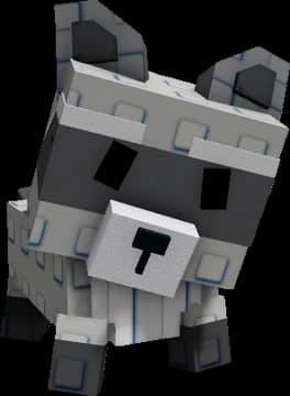 Raccoon