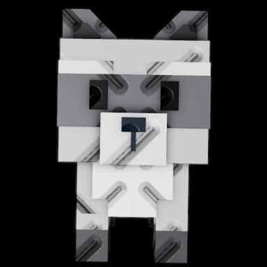 Raccoon