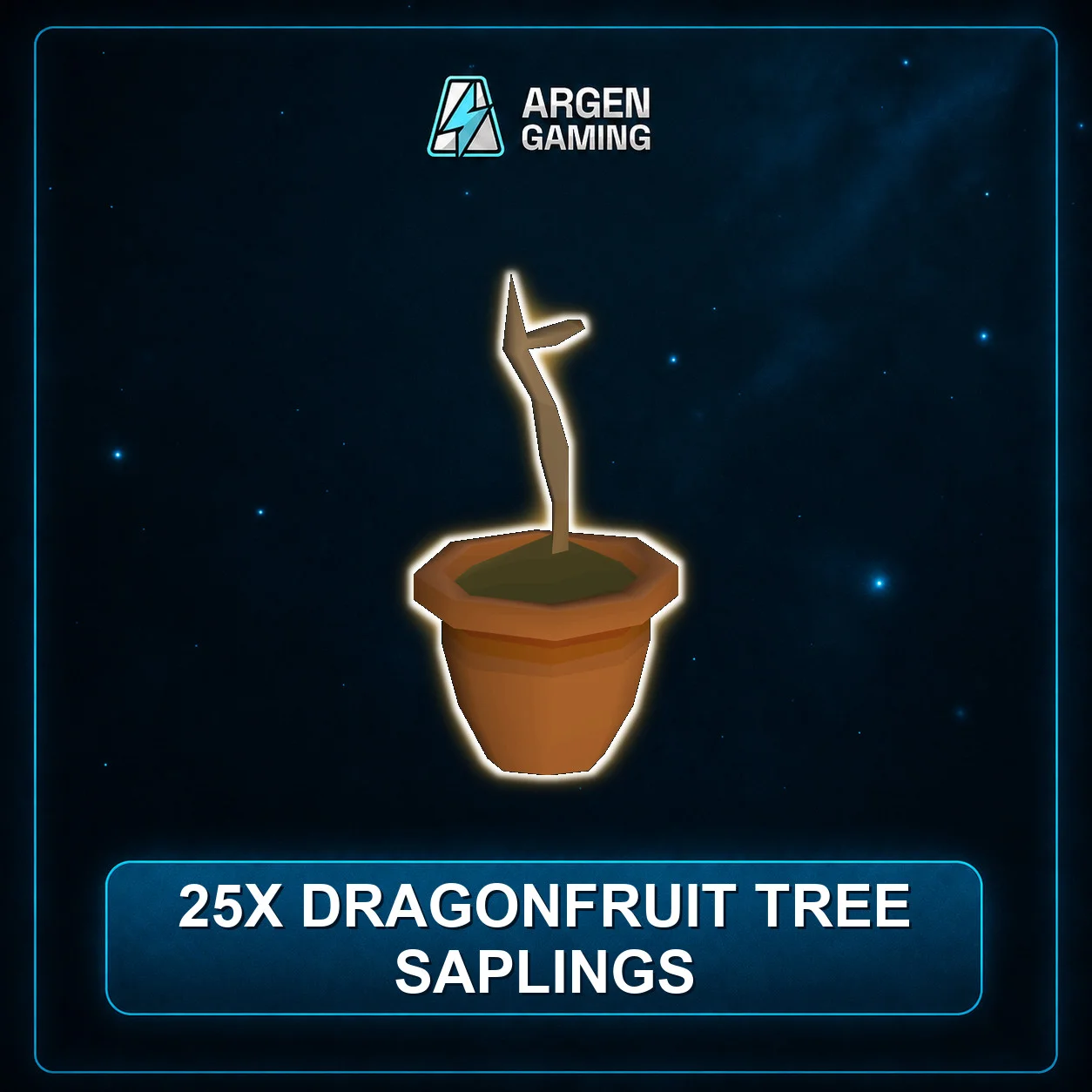 25x Dragonfruit Tree Saplings