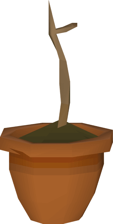 10 Magic Sapling