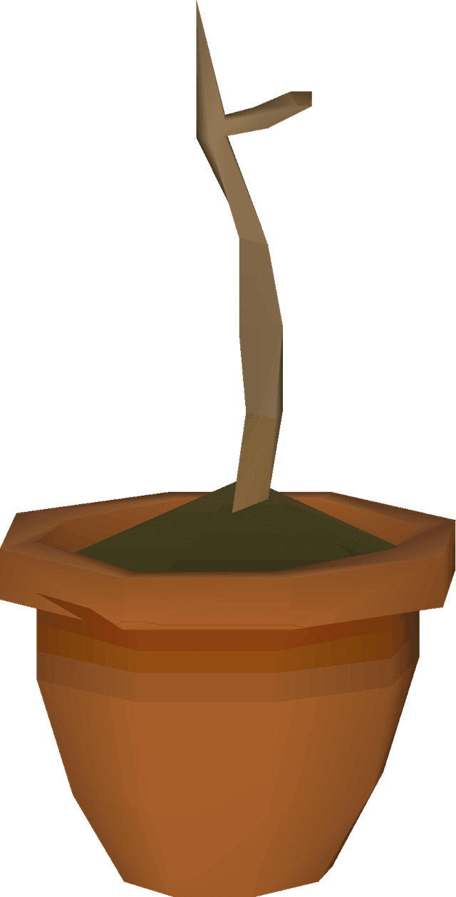 10 Magic Sapling