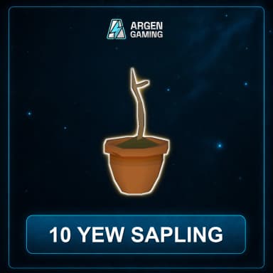 10 Yew Sapling