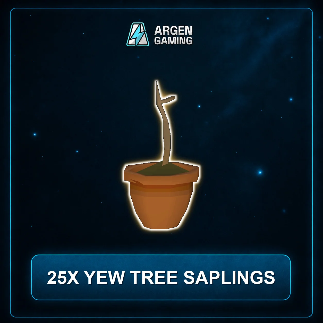 25x Yew Tree Saplings