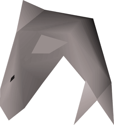 1000 Raw Shark