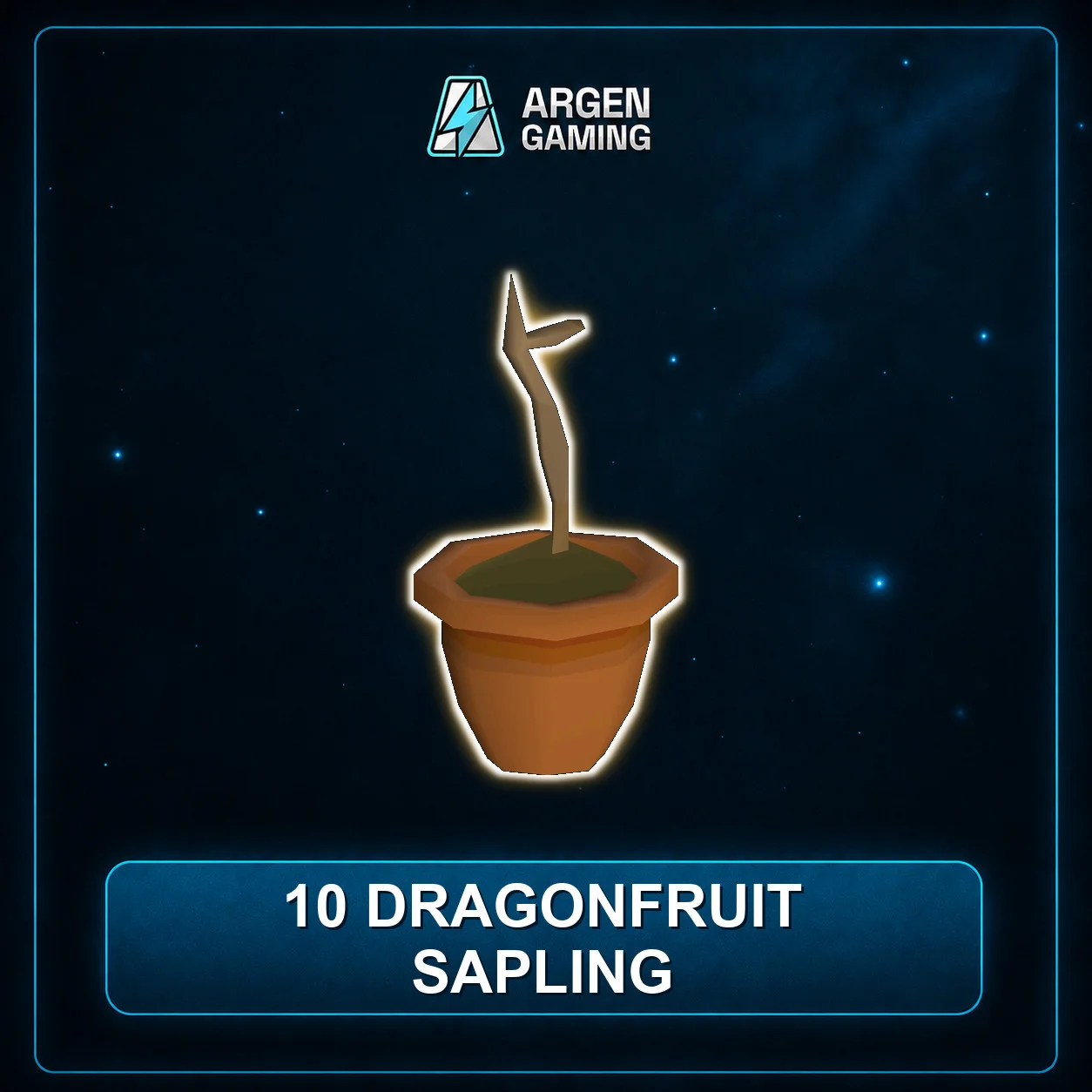10 Dragonfruit Sapling