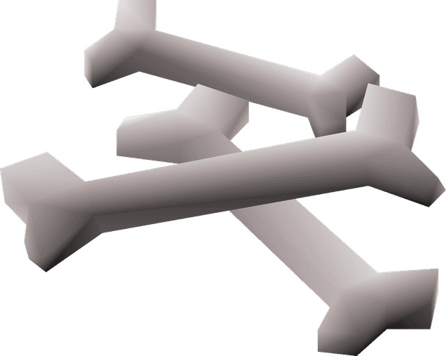 1M Prayer Xp - Dragon Bones