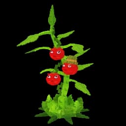 Tomatrio